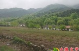 【水缘文学•诗词歌赋】五月随感录||徐生斌(陕西)