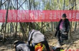 【水缘文学•散文随笔】马鞍山上祭先烈||吴贤林(浙江)