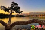 【水缘文学•诗词歌赋】点赞·在黎明光影中||庞霄云(广西)