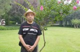 【水缘文学•诗词歌赋】七律(4首)——中国四大名鱼(新韵)||赵子玉(河北)
