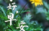 【水缘文学•诗词歌赋】​你好啊！夏天​||磨志坚（广西）