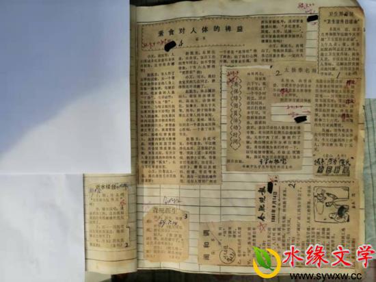 图片3.jpg 图片3.jpg