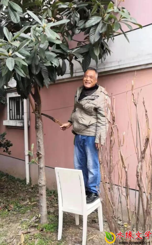 图片1.jpg 图片1.jpg