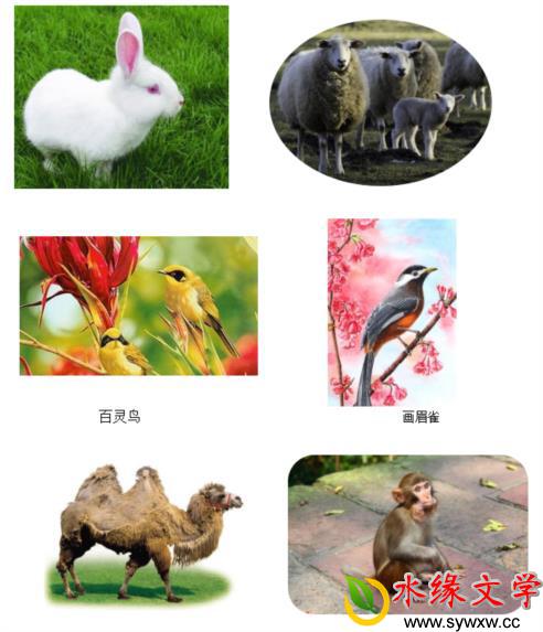 微信截图_20230210205531.jpg 微信截图_20230210205531.jpg